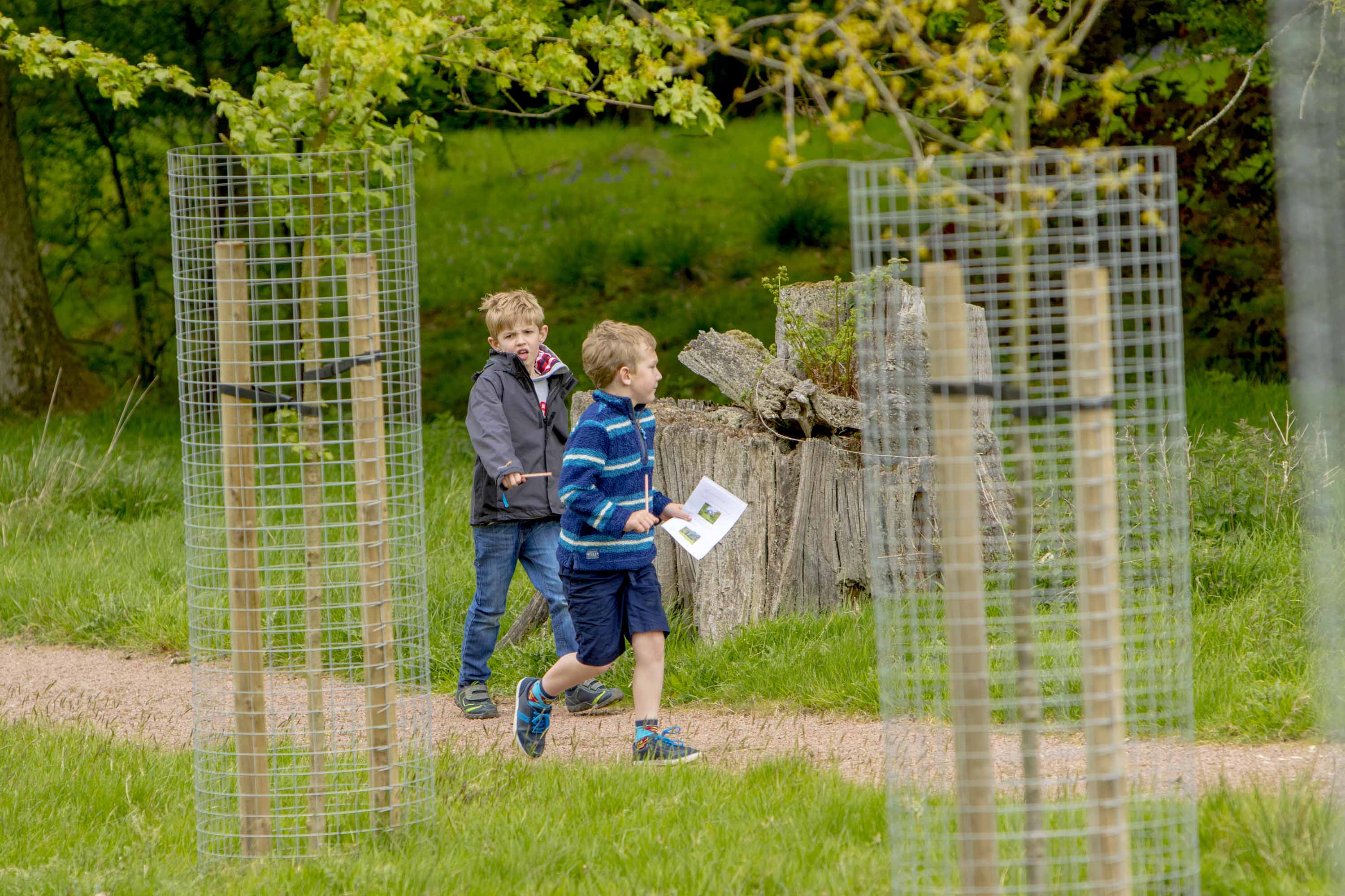 Foundation Preview Day at Hagley Hall and Park, 17th May 2015